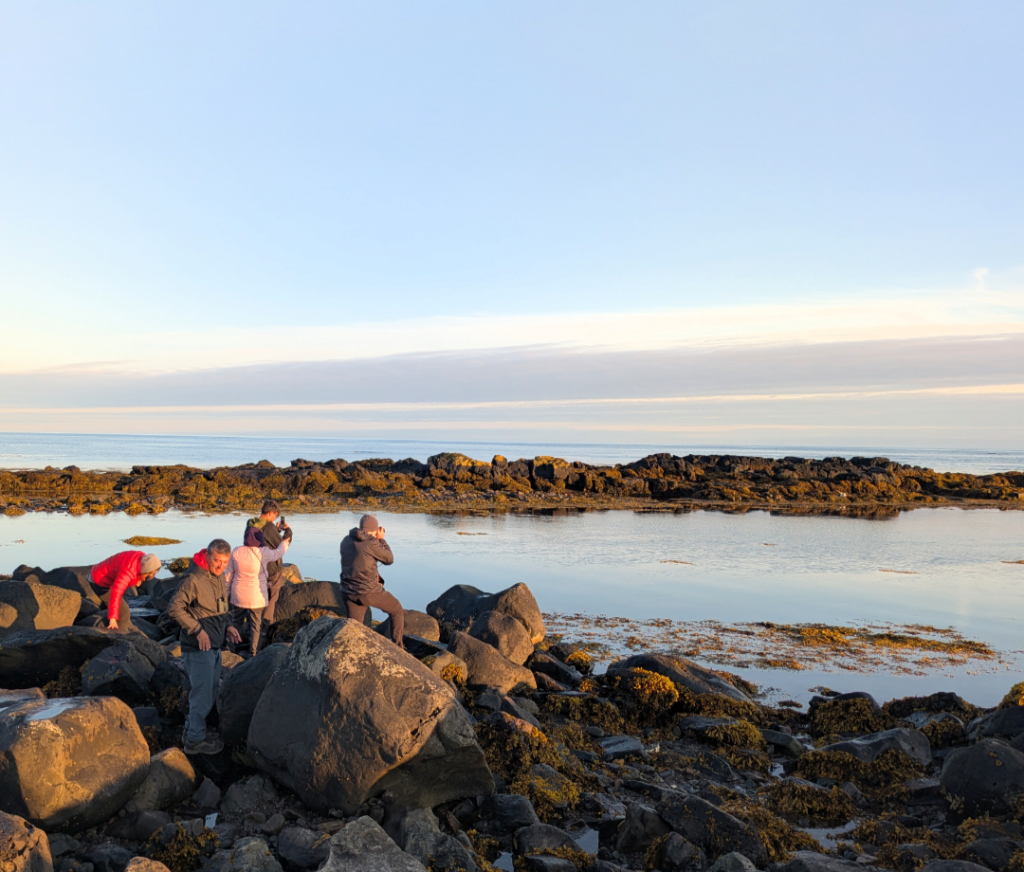 Small Hiking Group, Spotting Seals in Iceland